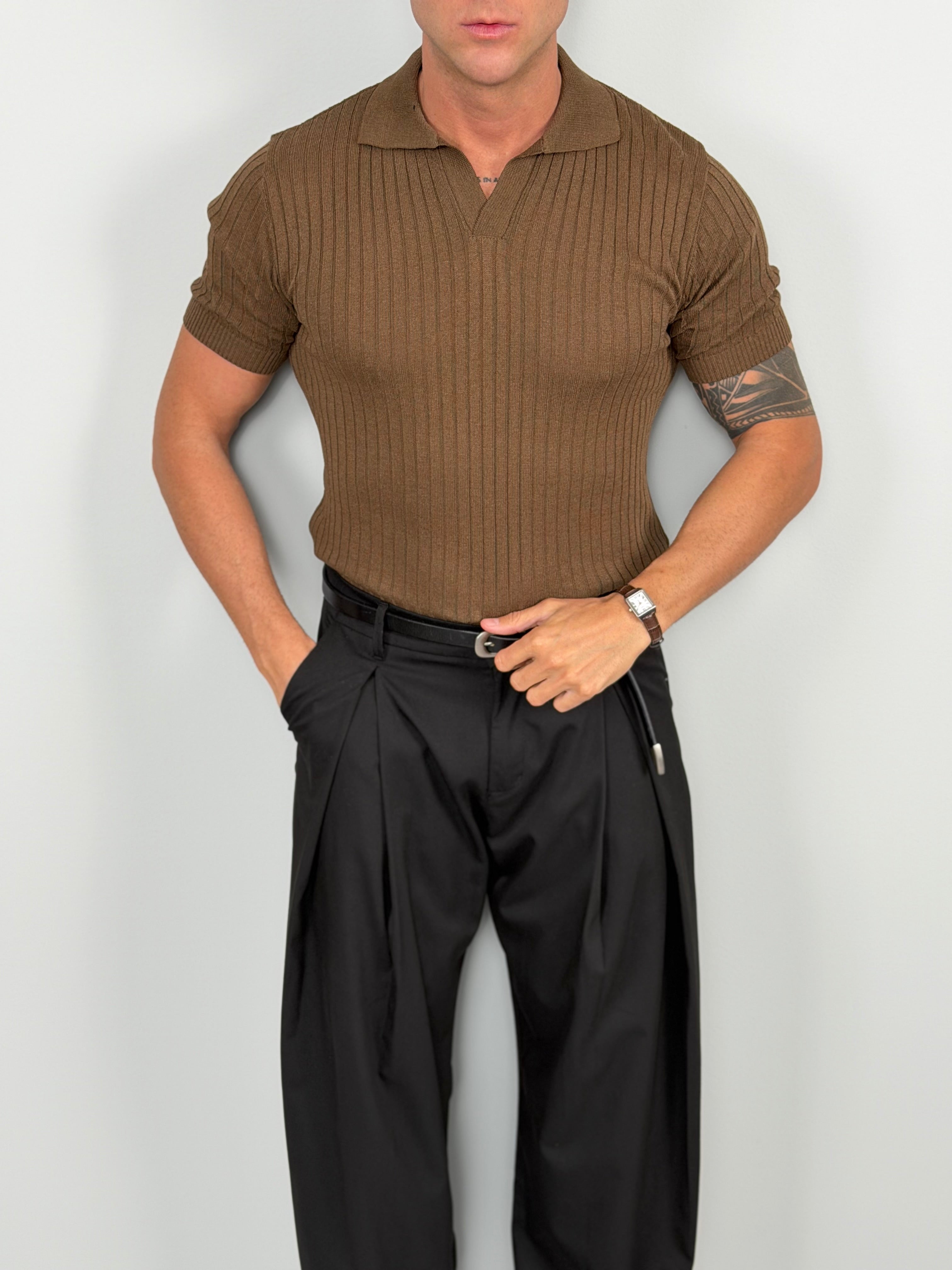 POLO ROY FILO COTONE